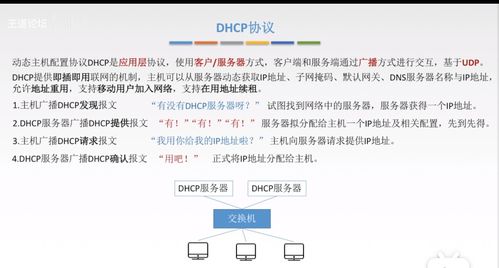 計算機網(wǎng)絡(luò)應(yīng)用層核心概念 從CS/P2P模型到Web與域名服務(wù)