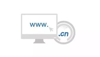 互聯(lián)網(wǎng)域名注冊 開啟您在線存在的第一步